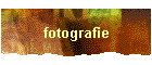 fotografie